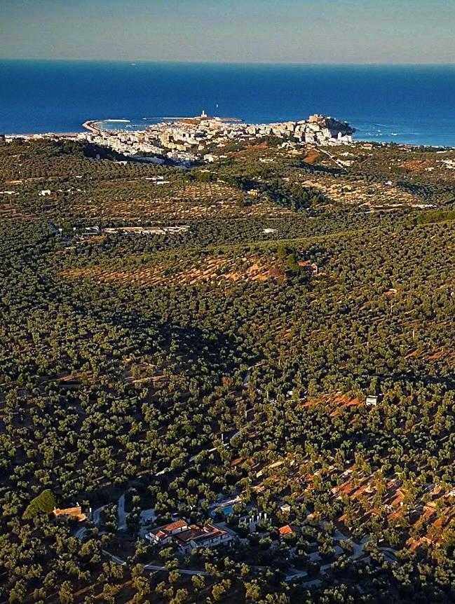 Agriturismo Passione Natura Vieste Exterior photo